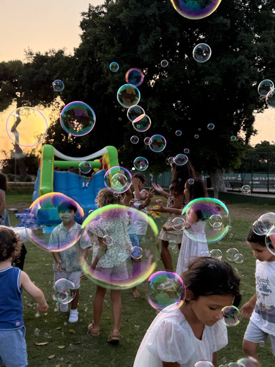 Bubble Show